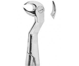 Extracting Forceps English pattern